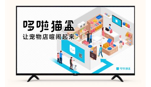 哆啦猫盒 宠物店电视可以像广告机一样发布广告吗