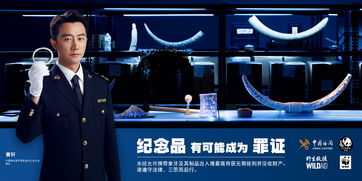 象牙禁贸一周年 海关总署 林草局联合环保组织发布公益广告